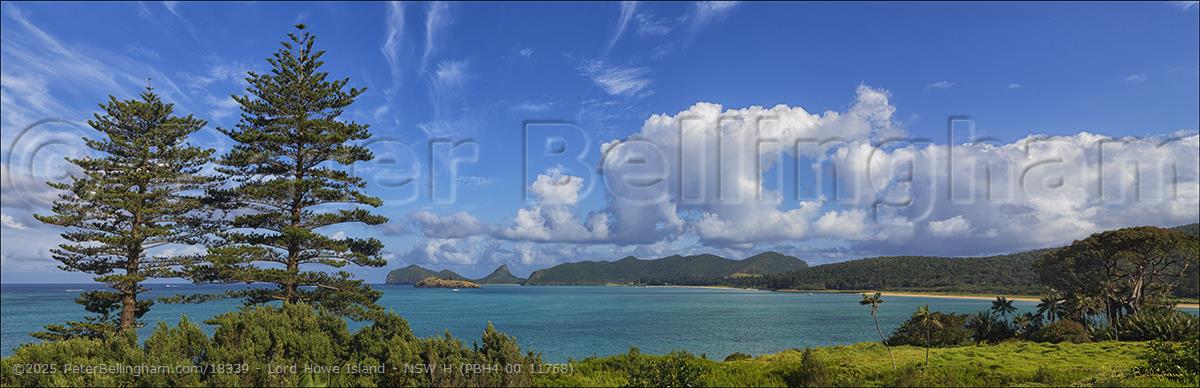 Peter Bellingham Photography Lord Howe Island - NSW H (PBH4 00 11768)